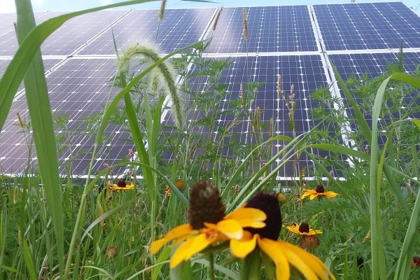 UPDATED: HCED hosts 2019 Solar Fair at Cresco Theatre on Saturday, July 27th